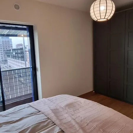 Bel Contemporain Avec Terrasse Climatisation Et Parking Payant En Option Daire Strazburg