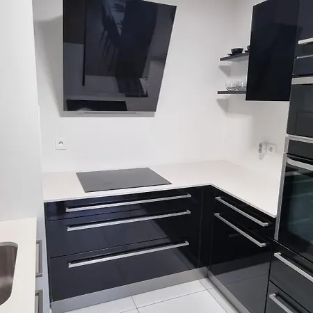 Bel Contemporain Avec Terrasse Climatisation Et Parking Payant En Option Daire Strazburg