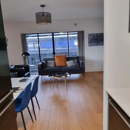 Bel Contemporain Avec Terrasse Climatisation Et Parking Payant En Option Appartement