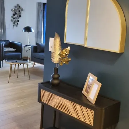 Bel Contemporain Avec Terrasse Climatisation Et Parking Payant En Option * Strasbourg