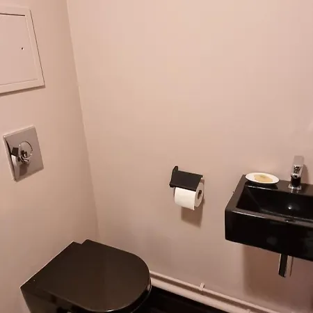 Bel Contemporain Avec Terrasse Climatisation Et Parking Payant En Option Strasbourg